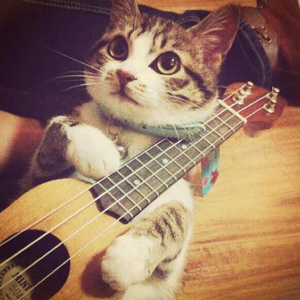 14美女裸体㊙️洗澡视频
